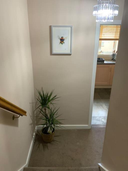 Home From Home, 3 Bedroom House In Hawick Exterior foto